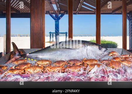 Huge whole tuna on display in a restaurant on the beach. Stock Photo