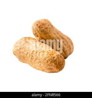 Isolated peanuts in shell on white Stock Photo