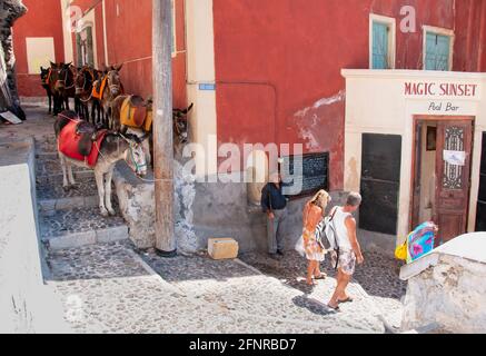 A group of donkeys on the island of Santorini in the shadow of a wall with their master wait for tourists to be transported Stock Photo