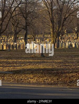 A bunch of tombstones and leafless trees in Notre Dame des Neiges cemetery in Montreal. For some reason there is one separated from all the others. Stock Photo