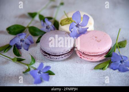 Several macaroons lie on the table decorated with flowers. Food backgrounds, copy space for text, design. Stock Photo