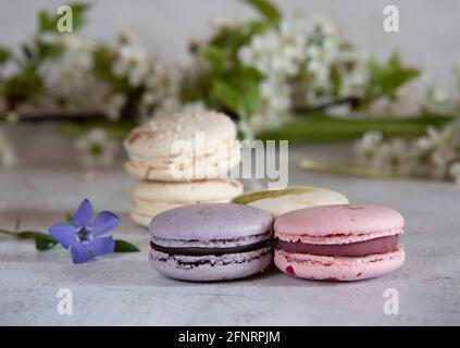 Several macaroons lie on the table decorated with flowers. Food backgrounds, copy space for text, design. Stock Photo