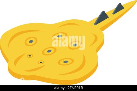 Marine stingray icon. Isometric of Marine stingray vector icon for web design isolated on white background Stock Vector