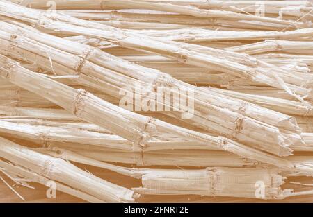 Sugarcane bagasse - the waste of sugar manufacture Stock Photo