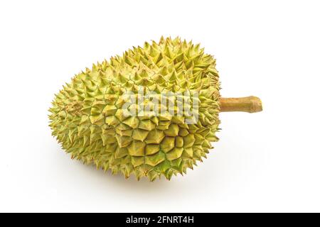 King of fruits, Close up of yellow durian in side Mon Thong durian ...