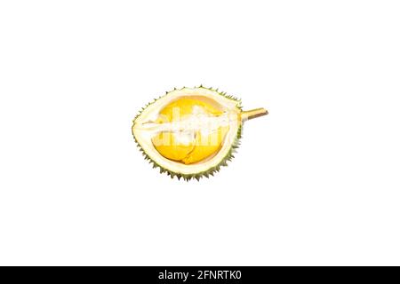Ripe durian cut in half is ready to eat isolated on white background Stock Photo