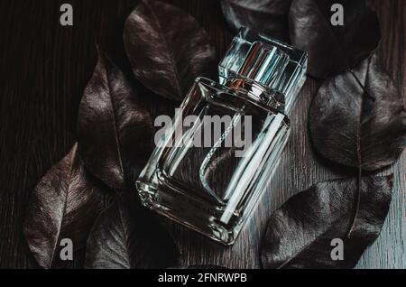 Men's perfume and black leaves on wooden background Stock Photo