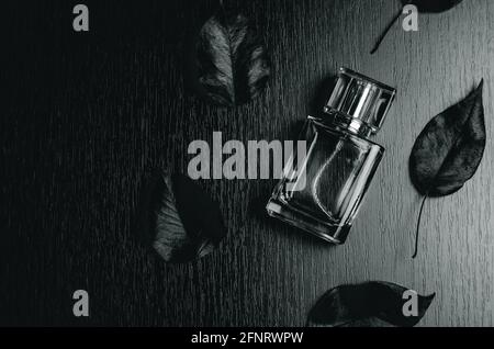 Men's perfume and black leaves on wooden background Stock Photo