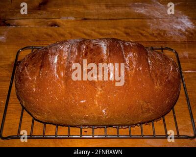 Traditional homemade bread with brown crispy crust Stock Photo