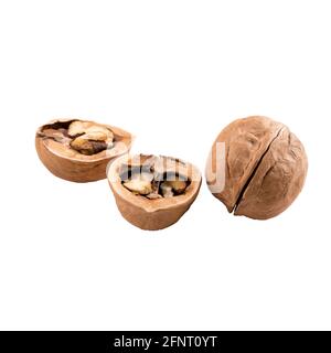 Isolated walnuts in shell on white Stock Photo