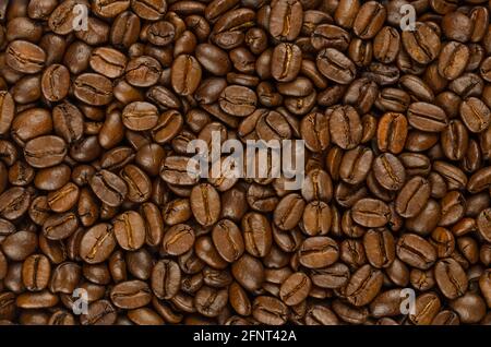 Roasted coffee beans, background, from above. Dark brown, roasted seeds of berries from Coffea arabica, also known as Arabian or arabica coffee. Stock Photo