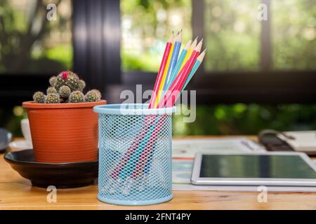 Colorful pencil in box with cactus pot on desk in office. Stock Photo