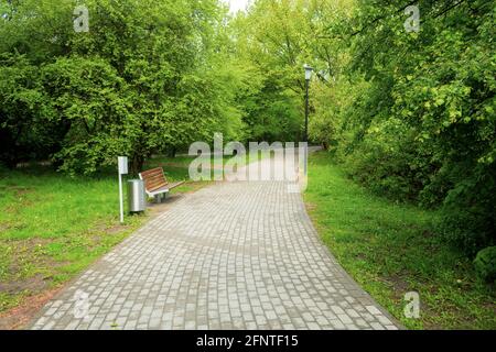A cobbled path in a city park made of stones. Stone paved road in green park and bench Stock Photo