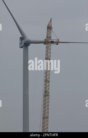 A crawler crane is hoisting a rotor blade of a new wind turbine Stock Photo