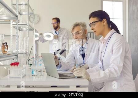 Senior and young scientists using laptop computer while doing medical research together Stock Photo