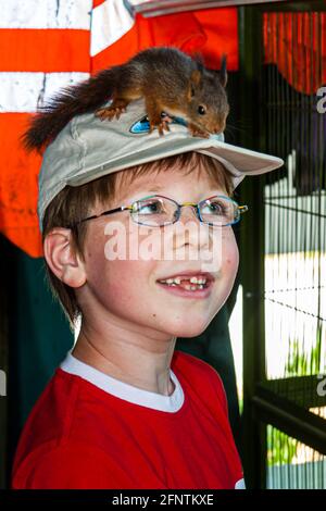 A squirrel sits on the peaked cap of a boy with gap in his teeth Stock Photo