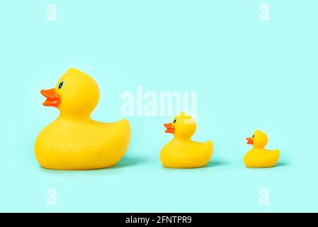 Rubber bath duck and rubber bath ducklings on a blue background.Parenthood concept