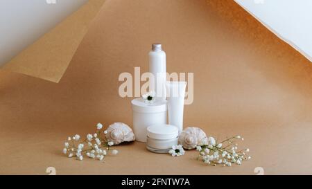 Set natural beauty cosmetic skincare products with flowers sea shells on beige brown background. White kit cream tube cosmetic products for body Stock Photo