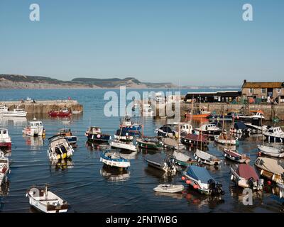 Boats docked in Lyme Regis Harbour, Lyme Regis, Dorset, United Kingdom, 2019. Stock Photo