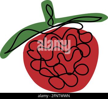 Line art raspberry. Vector illustration. Stock Vector