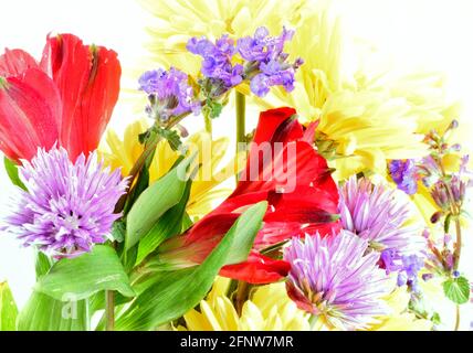 A bouquet of red purple and yellow flowers isolated on a white background and taken by over exposing the image to give a painting-like quality. Stock Photo