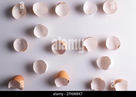 shells from eggs on a white background Stock Photo