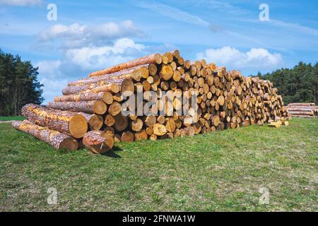 Landsape wiht a pile of wood seen in Bavaria Stock Photo