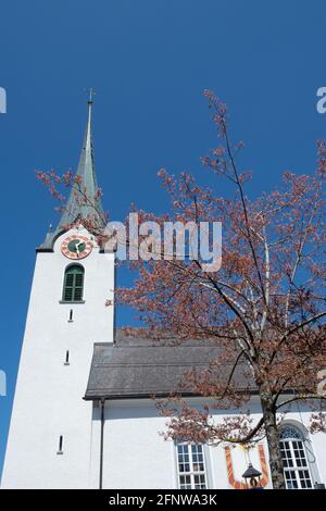 Hemberg, Switzerland - April 24th 2021: Church and tree with pink blossoms Stock Photo
