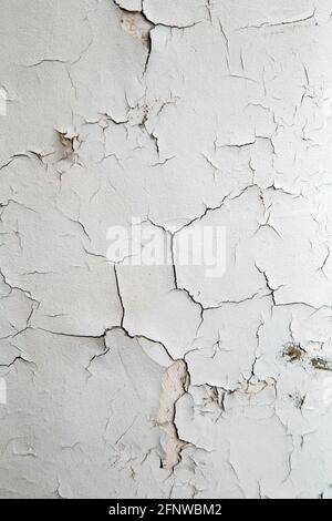 Close up on white crackled paint in portrait format Stock Photo