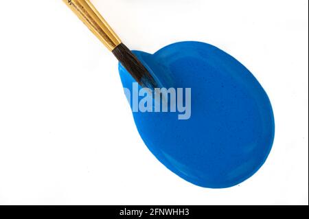 Blue acrylic paint with paintbrush dipped in Stock Photo