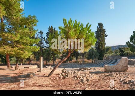 A cooked tree is situated on an historical archeological site in Knossos Stock Photo