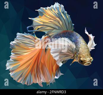 Low polygon vector illustration drawing of  betta or simese fighting fish. Stock Vector