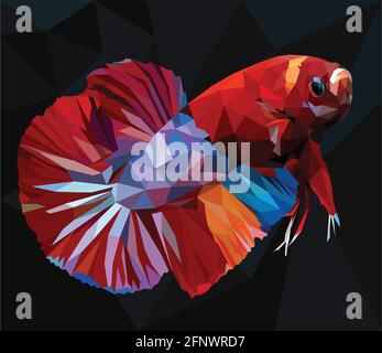 Low polygon vector illustration drawing of  betta or simese fighting fish. Stock Vector