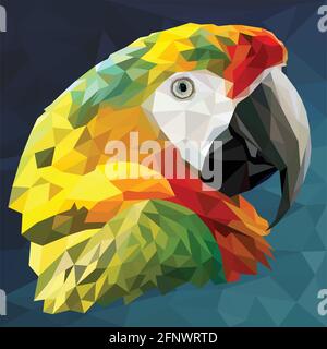 Polygonal Illustration head of macaw bird with dark blue background. Stock Vector