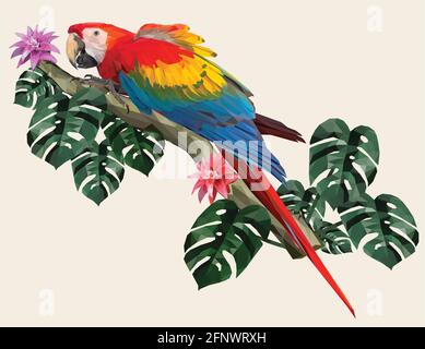 Polygonal Illustration Macaw bird with Amazon forest leafs. Stock Vector