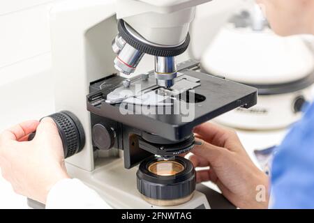 Veterinarian puts a sample under the microscope and examines for pathogenic germs. Stock Photo