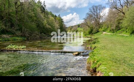 Water meads weirs and trout pools along the lower reaches of Lathkill Dale in the Derbyshire Peak District UK Stock Photo