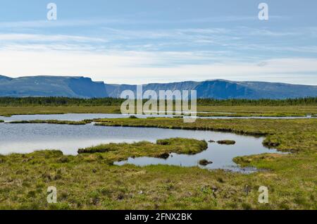 Beach in Gros Morne National Park, Newfoundland Stock Photo