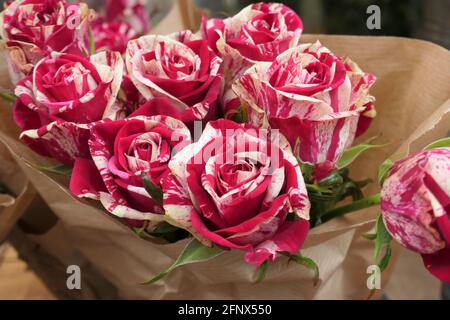Schöner Strauß frischer Rosen / Beautiful Roses