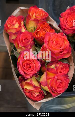 Schöner Strauß frischer Rosen / Beautiful Roses Stock Photo