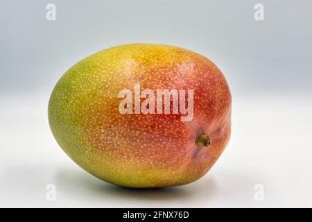 One whole mango fruit closeup against on white background Stock Photo