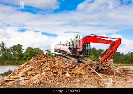Cleaning up driftwood along the south arm of the Fraser River near Steveston in British Columbia Canada Stock Photo