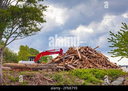 Cleaning up driftwood along the south arm of the Fraser River near Steveston in British Columbia Canada Stock Photo