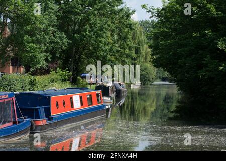 Narrow Boats Moored by Moorhen Restaurant River Stort Harlow Essex Stock Photo