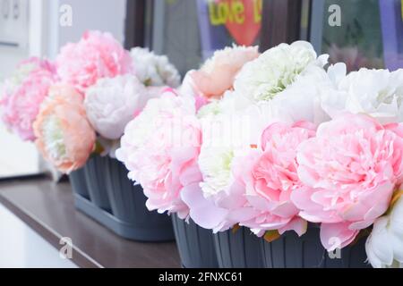 White-pink peony buds on the windowsill against the background of the inscription love is. Stock Photo