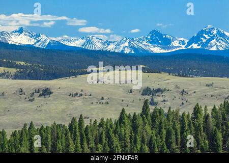 peaks of the anaconda range above foothills near philipsburg, montana Stock Photo