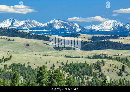 peaks of the anaconda range above foothills near philipsburg, montana Stock Photo