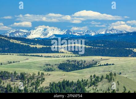 peaks of the anaconda range above foothills near philipsburg, montana Stock Photo