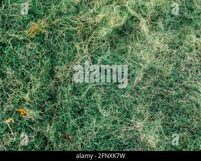 macro view of dish sponge Stock Photo