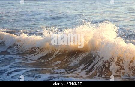 One sunlit wave at the coast, with backlit surf and brown backwash Stock Photo